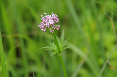 D16572B2-B889-47B8-8EAB-3BDC90DAC929.jpeg