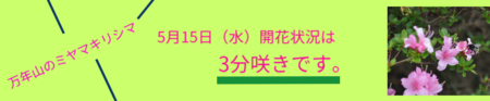 21D7DC37-6B3E-4853-82F3-EFDDCACFA44E.png