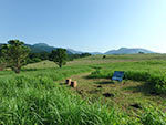 72036FD6-9858-4DB9-ADB0-2811AF292B19.jpeg
