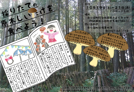 7B686236-D3BF-499E-9C12-FD7BBD332143.jpeg