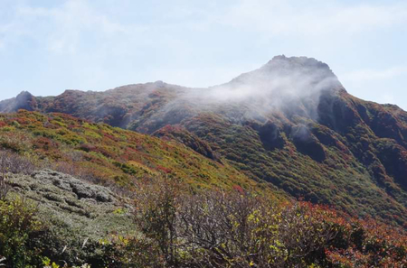 C72ED1E7-8CAB-4030-BA55-6576056F02DE.jpeg