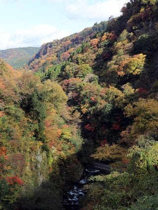 九酔渓紅葉情報 くじゅう倶楽部通信